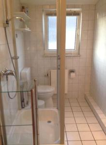 a bathroom with a toilet and a shower and a window at Ferienwohnung am Seezeichen in Böhl
