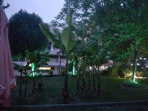 Zahrada ubytování Hotel Ceka