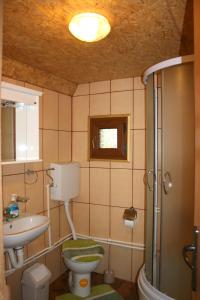a small bathroom with a toilet and a sink at Family Farm Bungalow in Žabljak
