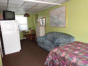 Cette chambre comprend un lit, un canapé et une télévision. dans l'établissement Fountain Motel, à Wildwood