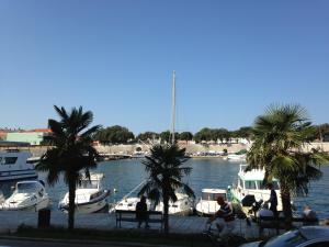 un grupo de barcos estacionados en un puerto deportivo con palmeras en The Bridge Luxury Apartments, en Zadar