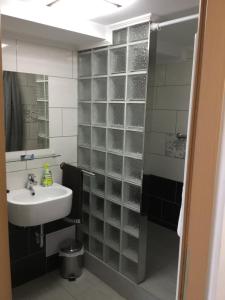 a bathroom with a sink and a glass block wall at Varkerulet Apartman in Sárvár