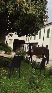 a statue of a horse sitting on a bench under a tree at Agriturismo Loghino Caselle in San Giorgio Di Mantova