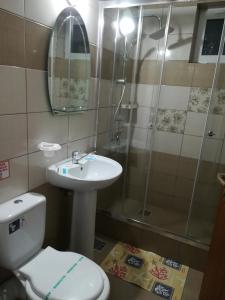 a bathroom with a toilet and a sink and a shower at Casa Diana in Sulina