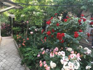 ゲレンジークにあるGuesthouse on Krasnykh partizan 4の白赤の花々が咲き誇る庭園