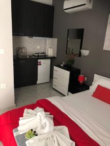 Kuchyň nebo kuchyňský kout v ubytování Niriides Rooms