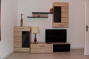 TV a/nebo společenská místnost v ubytování Apartmani Ivišić