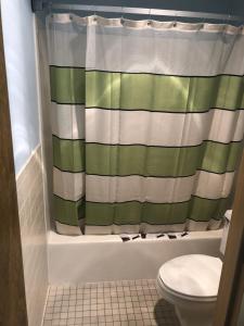a bathroom with a green and white shower curtain at Sunset Inn and Suites in Seward