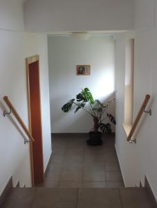 Fotografie z fotogalerie ubytování Marijin dom - Retreat House v Bledu