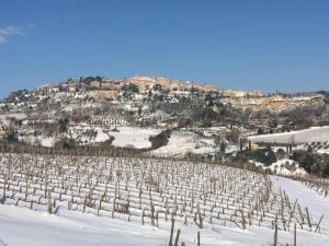 The Grapevine by MANVI durante l'inverno