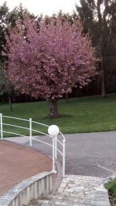 Φωτογραφία από το άλμπουμ του Dépendance cosy dans le Vexin, terrasse et jardin σε Us