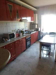Кухня или мини-кухня в Cazare NEU-ARAD AUTOSTRADA
