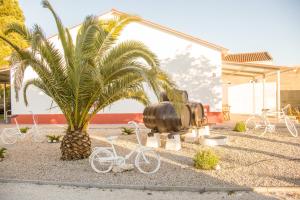 a palm tree and a barrel and bikes in front of a building at Casa das Pipas Palmela #1 in Pinhal Novo