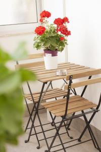 einem Holztisch mit einer Topfpflanze und einem Stuhl in der Unterkunft B&B d'Orleans in Palermo