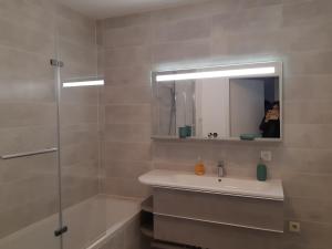 a bathroom with a sink and a shower and a mirror at Le Carré Confidentiel in Strasbourg