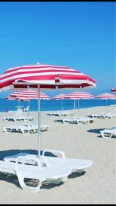 un grupo de sillas y sombrillas en una playa en Pizzo Beach Club, en Pizzo