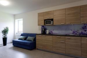 Gallery image of Viktoria Apartments in Bled