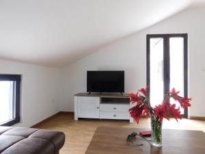 een woonkamer met een tv en een vaas met rode bloemen bij Apartman Posejdon in Kotor