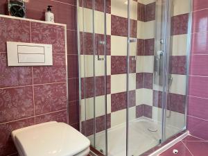 een badkamer met een toilet en een douche bij La Perla del Pirineo in Jaca