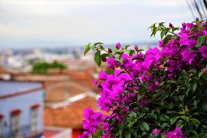 a bush of pink flowers with a view of a city at El Castillo de Azucar in Cali