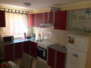 Kuchyň nebo kuchyňský kout v ubytování Apartmani BAU BAB