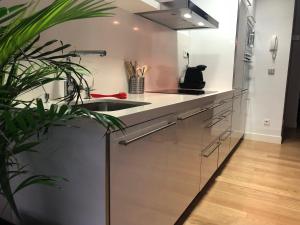 a kitchen with a stainless steel sink and a plant at Loft Las Arenas Getxo junto puente colgante Bilbao in Getxo