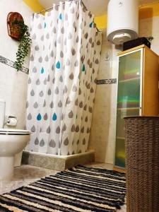 a bathroom with a shower and a toilet at Casa rural Los Órganos de Arguamul in Vallehermoso