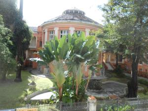 un edificio con una palmera delante de él en A meson Suites en Salvador