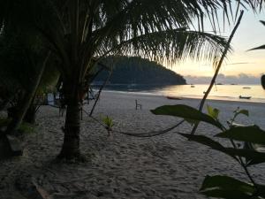 a sandy beach with a palm tree and the ocean at Rainbow Tioman Cottage in Kampong Juara