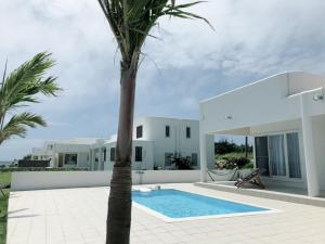a palm tree in front of a house with a swimming pool at Thalassa Beach and Pool Villa in Yoron