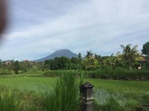 a field of grass with a mountain in the background at Pondok Intaran in Karangasem