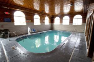 - une grande piscine dans un bâtiment doté de fenêtres dans l'établissement Super 8 by Wyndham Chicago O'Hare Airport, à Elk Grove Village