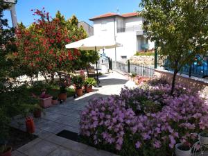 A garden outside Angelo Studios