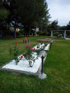 Zahrada ubytování Aegialis Apartments (Dimitros)