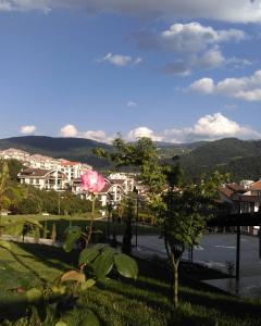 a view of a city with a pink rose in the foreground at ITU Evi Bursa in Bursa