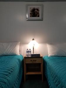 Postel nebo postele na pokoji v ubytování Hotel Dinosaur & Newcastle Bar