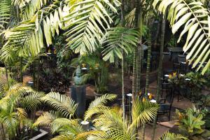Jardí fora de Amal Beach Hotel
