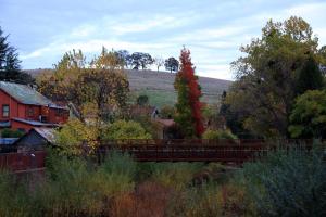 a bridge over a river with trees and houses at Eureka Street Inn in Sutter Creek