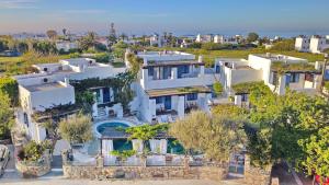 - une vue aérienne sur une grande maison blanche avec des arbres dans l'établissement Patriko, à Skiros