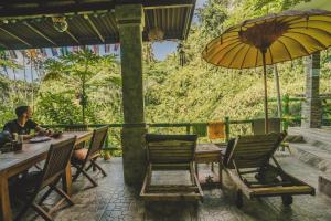 Zahrada ubytování WW Backpackers