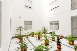 Zahrada ubytování La Sorpresa del GENOVES by Cadiz4Rentals