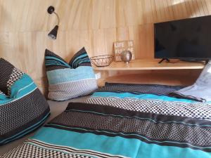 two beds in a room with a tv and pillows at Tinyhouse Zollernalb in Balingen