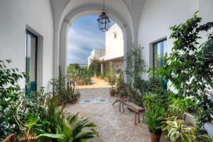 アンドラーノにあるCasale del Fornoの植物とベンチのある屋内中庭