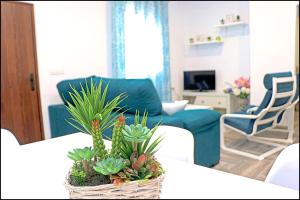 a living room with a couch and a table with plants at Chalet Ermita in Conil de la Frontera +26 photos