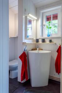 ein Badezimmer mit einem weißen Waschbecken und einem WC in der Unterkunft Haus Kilstrand in Tämta
