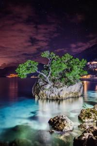 Fotografie z fotogalerie ubytování Sunset Villa Brela v destinaci Brela