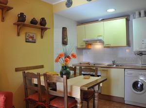 Una cocina o zona de cocina en Apartamentos Los Pirineos