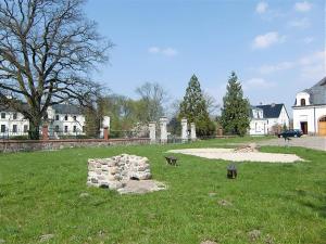 un parque con un banco en medio de un campo en Ferienwohnung A0, en Klocksin