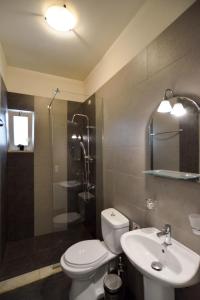 een badkamer met een toilet, een wastafel en een douche bij Villa Nopigia Mare in Kissamos