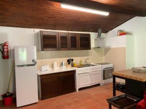 La cuisine est équipée d'un réfrigérateur blanc et d'un évier. dans l'établissement Quinta Santa Isabel, à Chaves